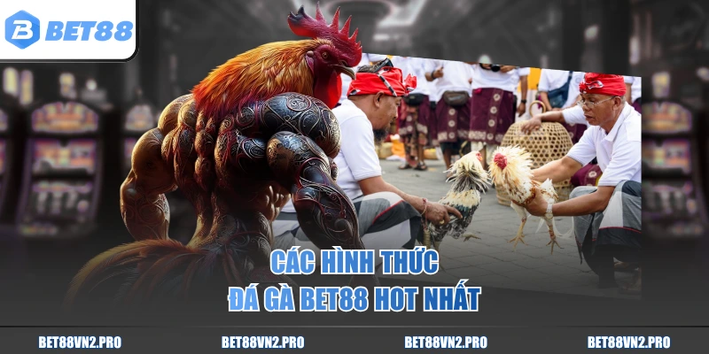 Các hình thức đá gà BET88 hot nhất